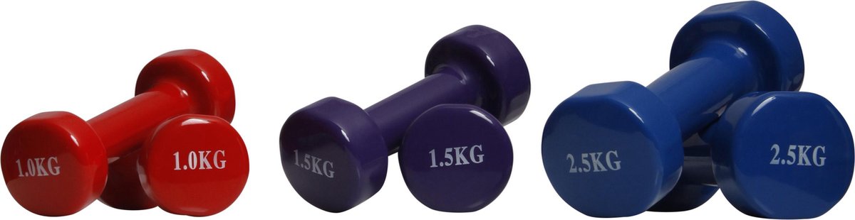 Dumbell set PVC - 10 kg met koffer