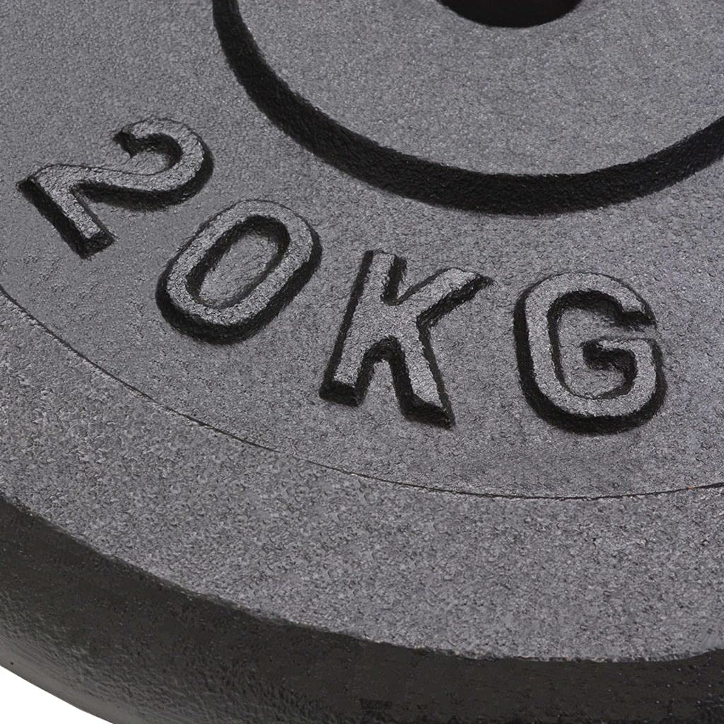 Active Panther Gewichten - Halterschijf Halterschijven set 40 kg - Gietijzer- 30 mm - 2x20 kg