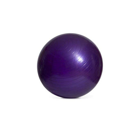 Fitnessbal 65 cm met pompje - 65049-380 Paars